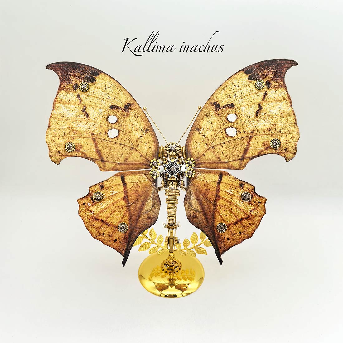 3D Metal Mechanical Butterfly Puzzle Model Kit VICTMAX
