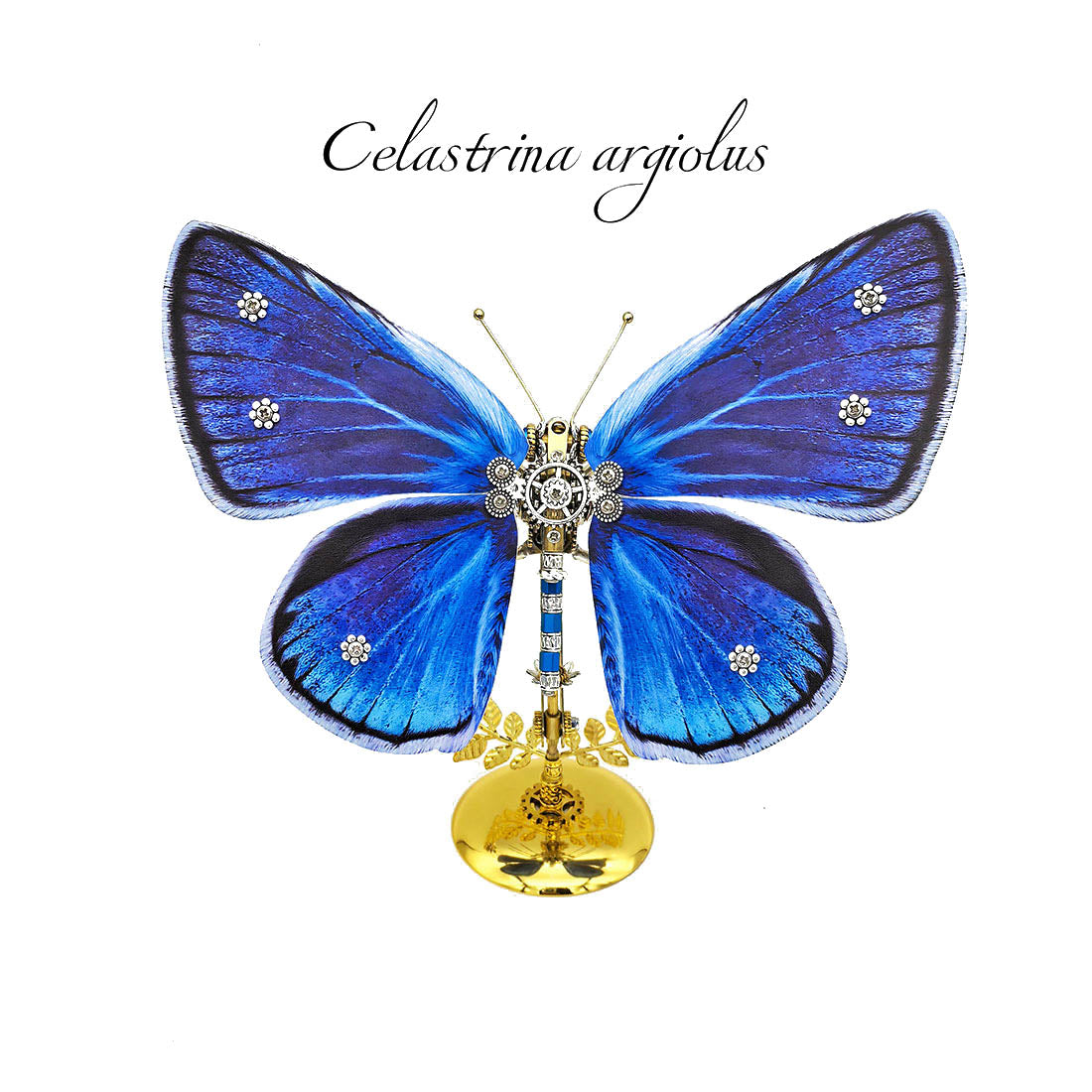 3D Metal Mechanical Butterfly Puzzle Model Kit VICTMAX