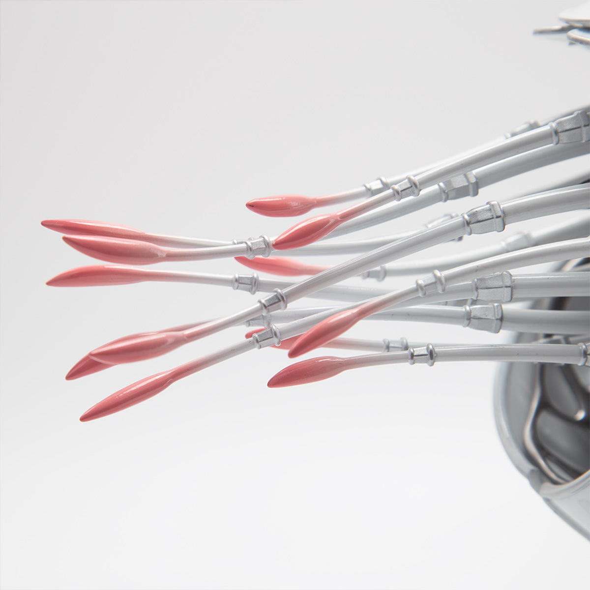 3D metal Mechanical Nautilus model assembled for DIY adults and teens - VICTMAX