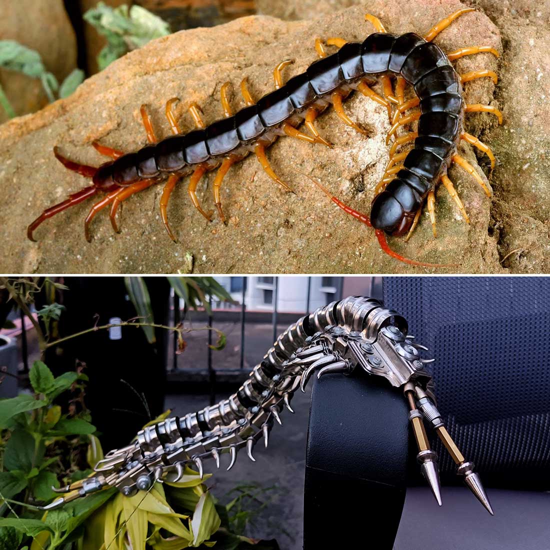 Metal Centipede Puzzle Model Kit 480PCS DIY Movable Assembly Stainless Steel Alloy Mechanical Animal Sculpture Desk Decor VICTMAX