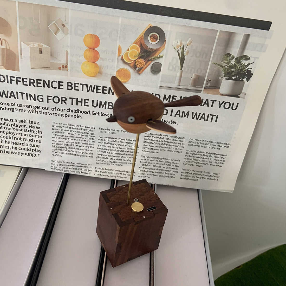 Wooden Long-Tailed Tit Bird Bionic Biological Dynamic Model, Office & Home Desktop Relaxation Decor - VICTMAX