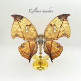 3D Metal Mechanical Butterfly Puzzle Model Kit VICTMAX