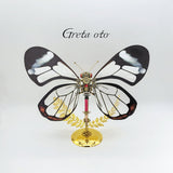 3D Metal Mechanical Butterfly Puzzle Model Kit VICTMAX