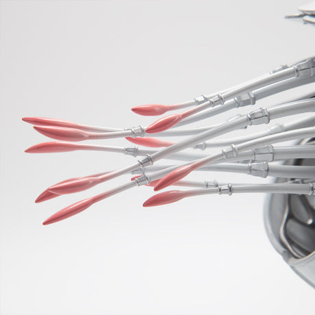 3D metal Mechanical Nautilus model assembled for DIY adults and teens - VICTMAX