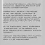 3D metal Mechanical Nautilus model assembled for DIY adults and teens - VICTMAX