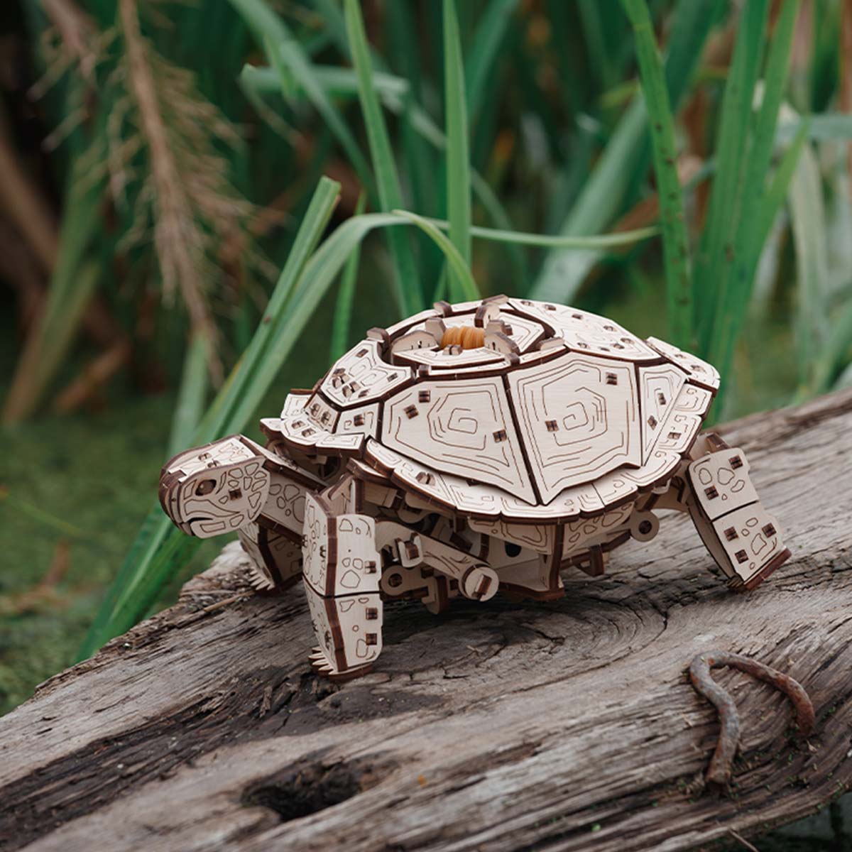 3D Wooden Sea Turtle model assembled for DIY adults and teens - VICTMAX
