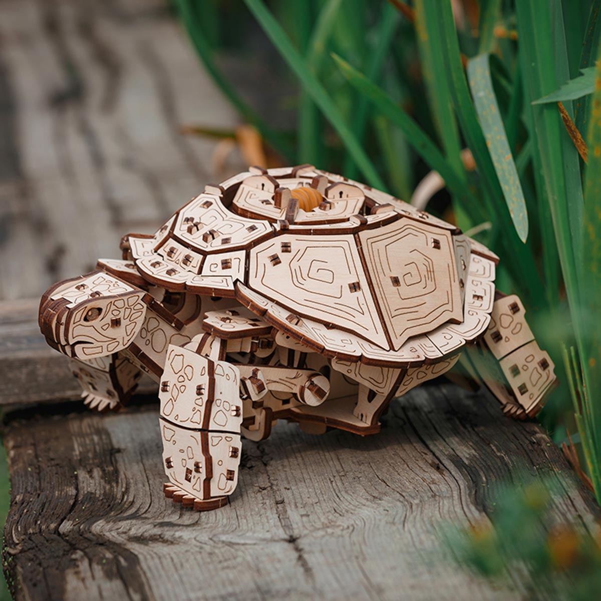 3D Wooden Sea Turtle model assembled for DIY adults and teens - VICTMAX