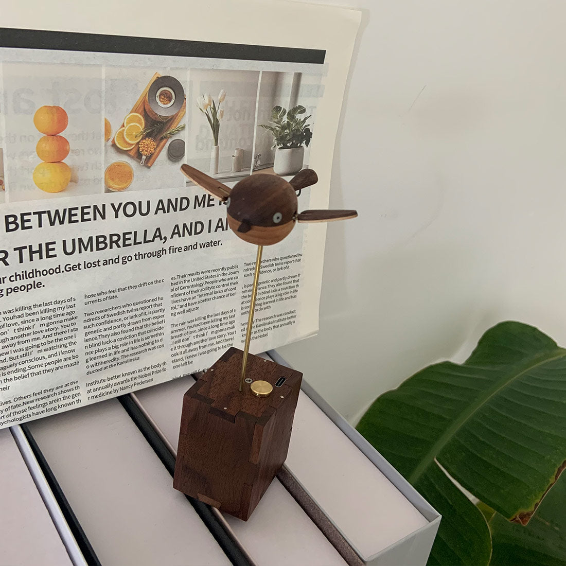 Wooden Long-Tailed Tit Bird Bionic Biological Dynamic Model, Office & Home Desktop Relaxation Decor - VICTMAX