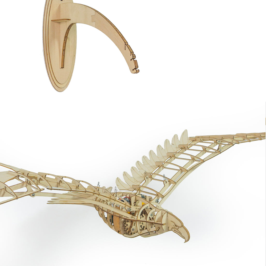 Wooden Mechanical Eagle Model Kit 1138mm Wingspan DIY Assembly Bird - VICTMAX
