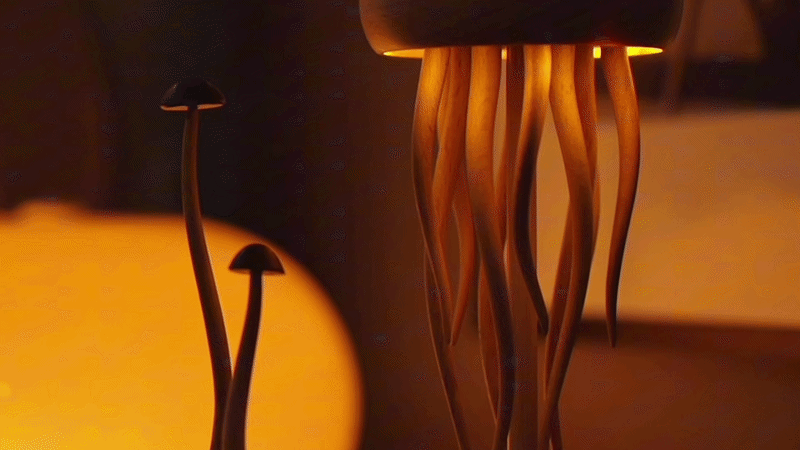Wooden Bionic Kinetic Art Sculpture for Collectors - VICTMAX